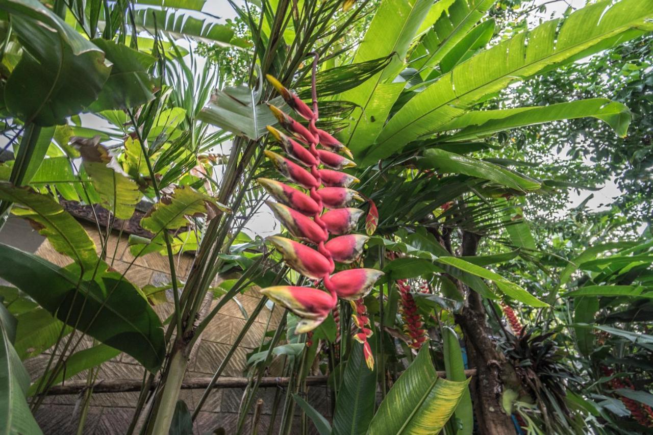Tegar Guest House Ubud Exteriör bild