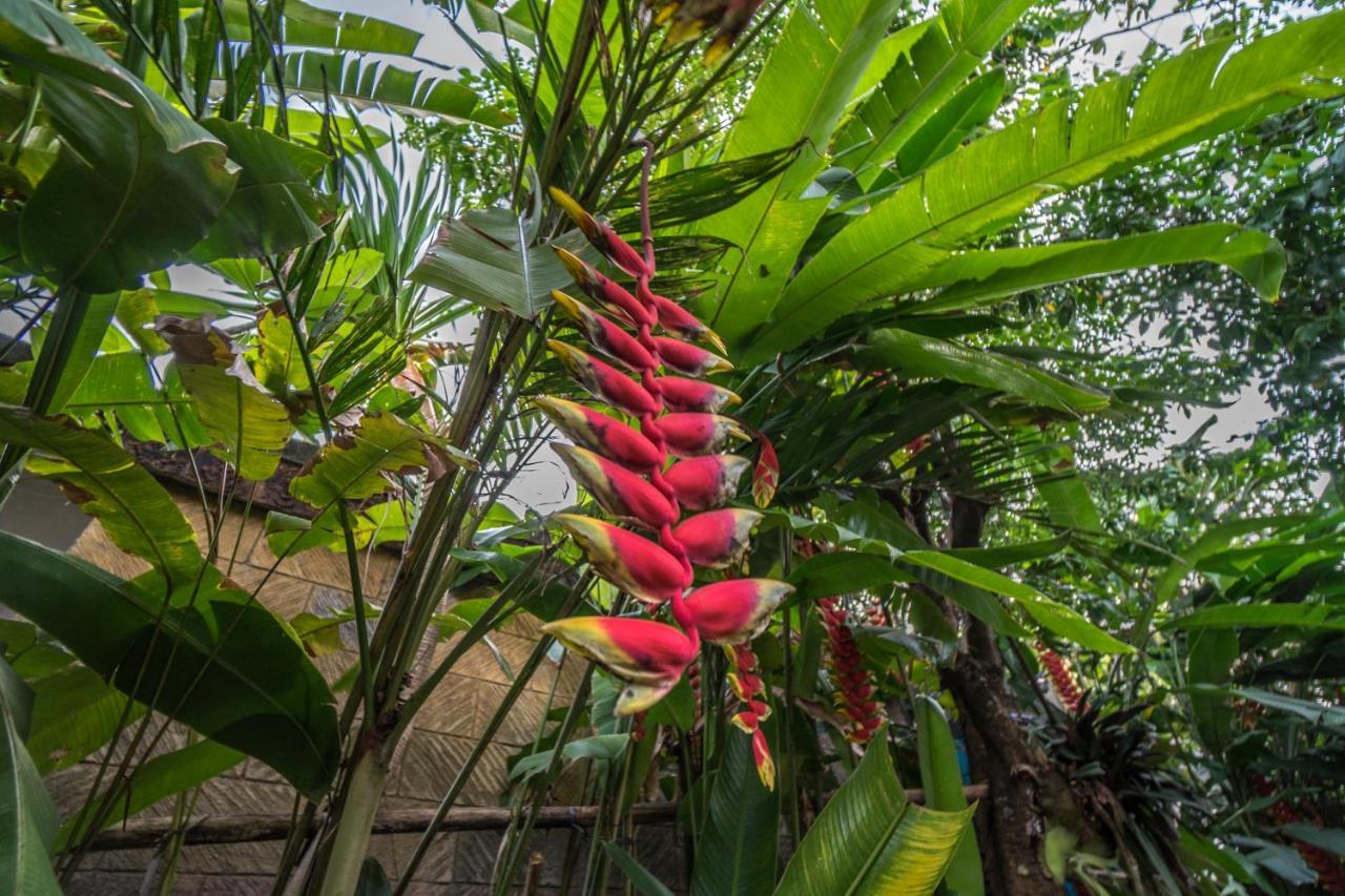 Tegar Guest House Ubud Exteriör bild